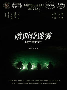 喀斯特迷雾电影海报在线看